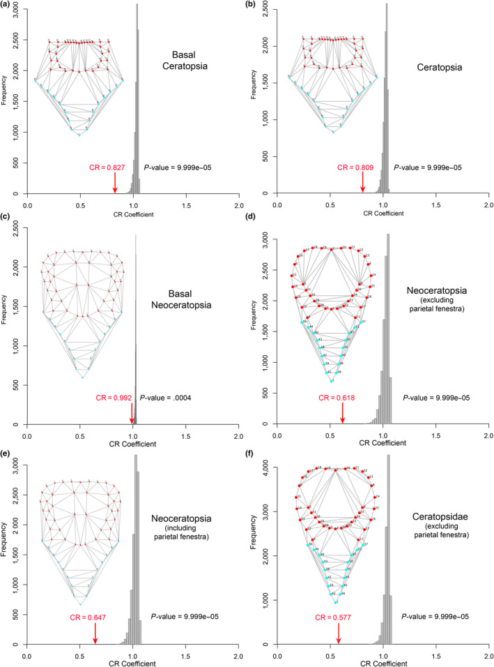 Distribution of covariance ratios (CR) for all the evaluated 10,000 random subsets of landmarks for various paraphyletic and monophyletic ceratopsian groups. The red arrow indicates the CR for the hypothesis of modularity of the frill. The frame diagrams display the landmarks digitized on the dorsal view of the skull; red landmarks correspond to those of the hypothesized frill module