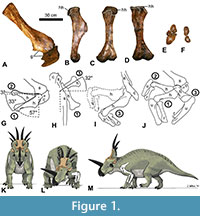 s figure1