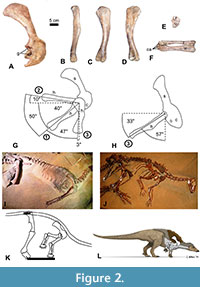 s figure2