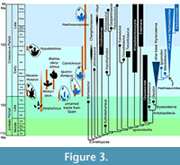 s figure3