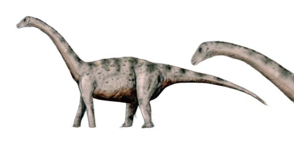 Tapuiasaurus macedoi