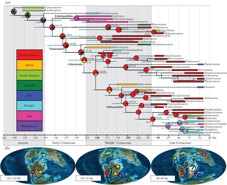 beast variable-rates and DEC+j model results for titanosaurian interrelationships and biogeographic reconstruction. ( a ) Select divergence dates (bold) and posterior probabilities (>50%, italics) located at respective nodes; blue nodal bar represents 95% highest posterior density (HPD) age estimates; pie charts indicate relative support for ancestral area reconstruction; branch tips represent the taxon 95% HPD age range (length) and area distribution (colour). ( b ) Cretaceous titanosaurian pal