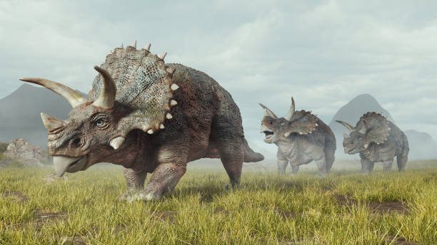 Reconstituição de Triceratops horridus — o animal coexistiu com T. rex na Hell Creek Formation, sendo provavelmente uma das principais presas do maior carnívoro do Cretáceo.
