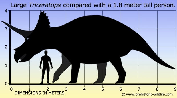 Diagrama comparativo de tamanho de Triceratops — a massa corporal estimada varia entre estudos, com valores entre 6.000 kg (estudos conservadores) e 12.000 kg (espécimes maiores), tornando-o comparável em tamanho a um elefante africano.
