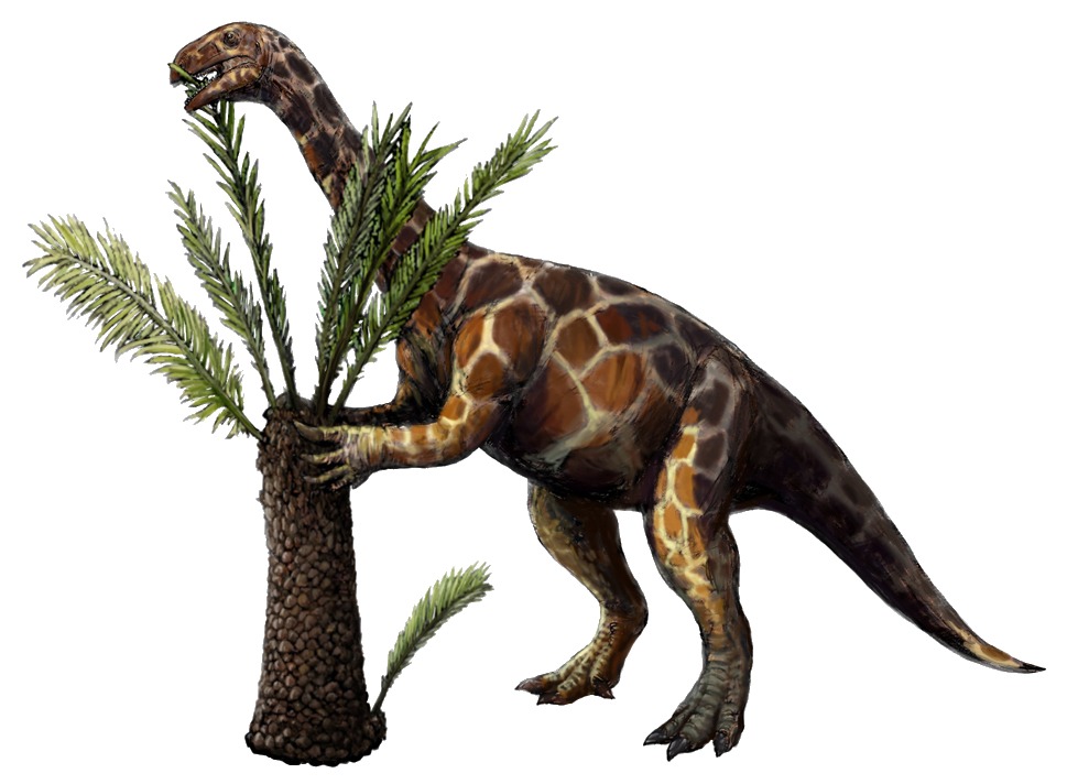Unaysaurus tolentinoi