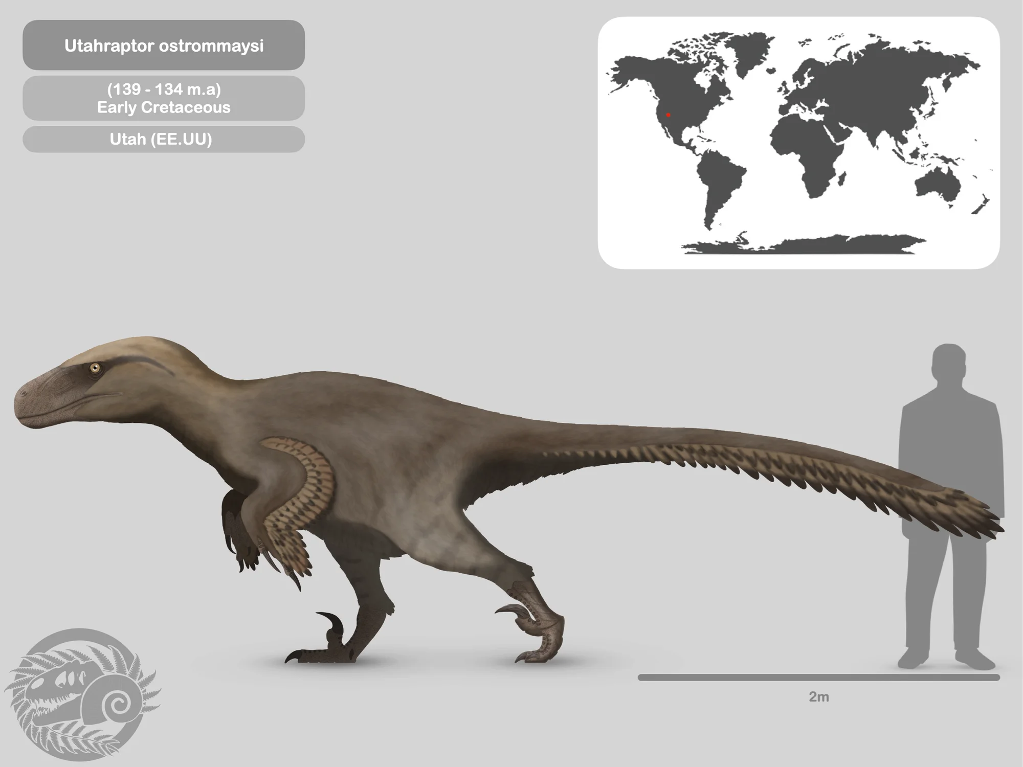 Utahraptor reconstruction showing the sickle claw of the second toe — up to 24 cm long, it was the largest sickle-shaped claw of any known dromaeosaurid, used to pierce and restrain prey.