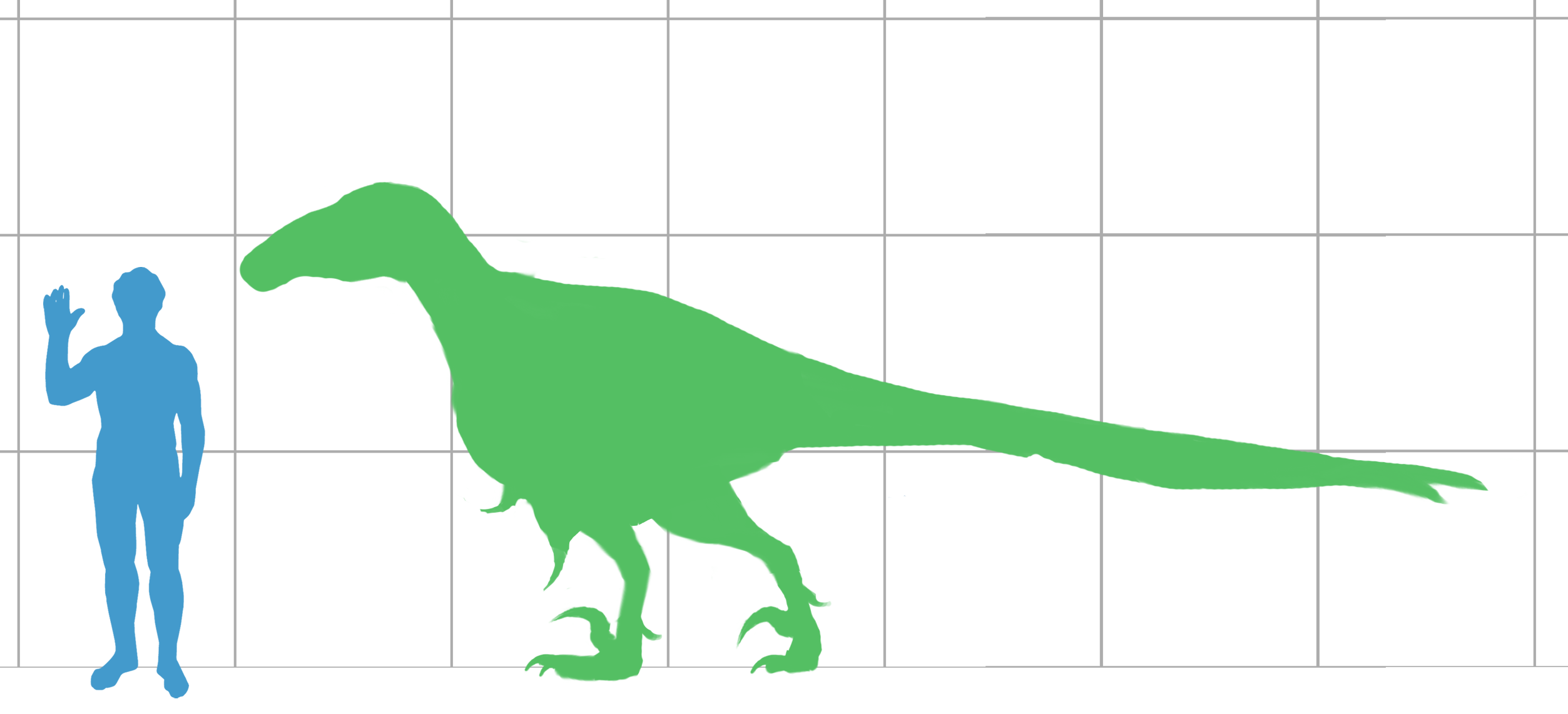 Diagrama de tamanho comparativo de Utahraptor ostrommaysorum — o espécime holótipo (CEU VP-18,001) foi coletado na Formação Cedar Mountain em 1991 por James Kirkland, Robert Gaston e Donald Burge.