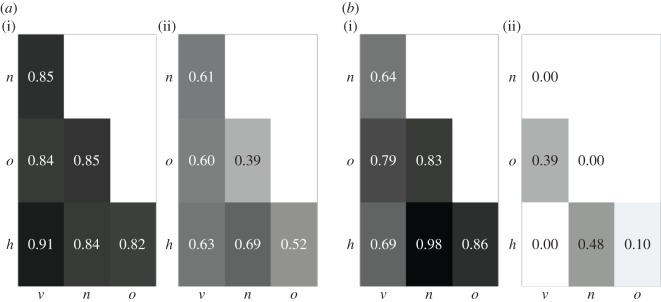 Distinguishability between the pure transmission modes v , h , o , n ( table 1 ) based on ( a ) the joint probability distribution of the five variants of a trait in the population, f joint, x , and ( b ) the average time a variant stays the most common variant, t max x . Shown are the values of the area of overlap O xy between the probability distributions of the statistic for pairs of modes, under parameter constellations N =50; μ =0.01; p w =0.5 ( a (i), b (i)) and N =50; μ = 0.1; p w =1 ( a 
