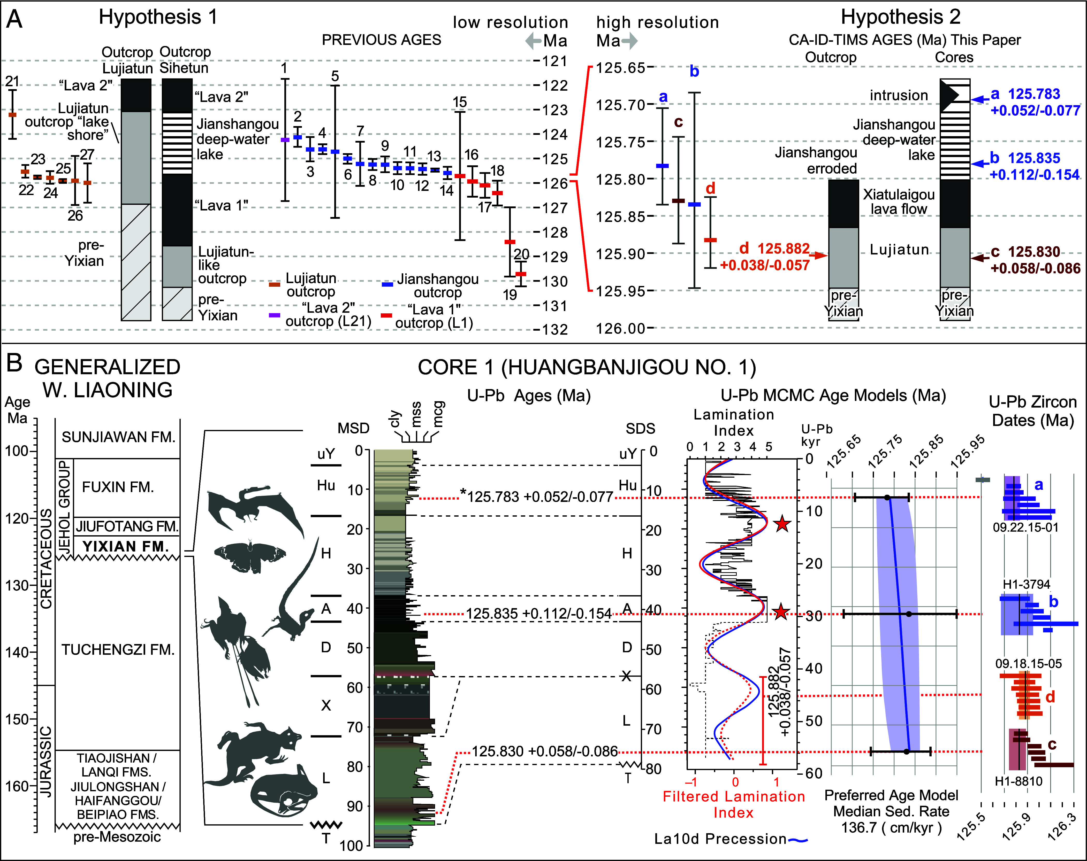 Temporal constraints and hypotheses for relationships between fossil-bearing units of the Yixian Formation. ( A ) Diagrammatic representation of the two hypotheses for correlation of the Yixian Formation in the Sihetun-Huangbanjiagou area (cores) to Lujiatun area (outcrop) with geochronological constraints. The vertical axis (time) of each hypothesis is shown separately with the axis for Hypothesis 2 ( Right ) being a greatly expanded, high-resolution portion of that for Hypothesis 1 ( Left ). N